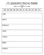 PIZARRA MAGNETICA 28X36 - TE QUEREMOS MUCHO MAMA - Imagen 2